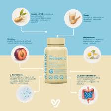 VIL DYGEST BIOTIC™ – El probiótico que reconecta tu intestino con tu cerebro para una digestión automática