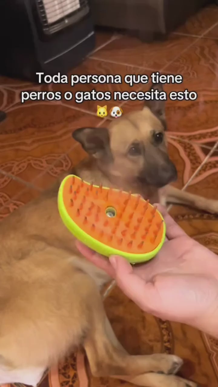 CEPILLO DE VAPOR 3 EN 1 PARA MASCOTAS